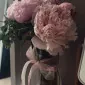 sheylaarreguina