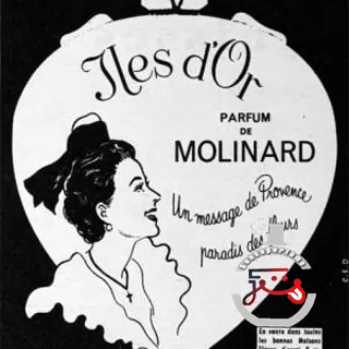 Iles D'Or Molinard
