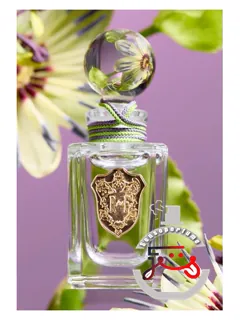 پاسیفلورا رژیم دو فلور | passiflora régime des fleurs