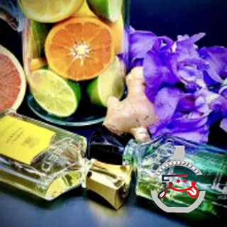 Original Vetiver Creed