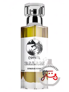 بالام کویوتل | balam coyotl