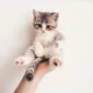 Jenny.Baby