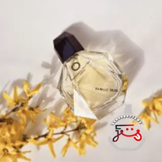 Vanille 08:00 Francesca dell'Oro
