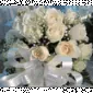 چیک‌روز