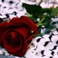 رَوانا