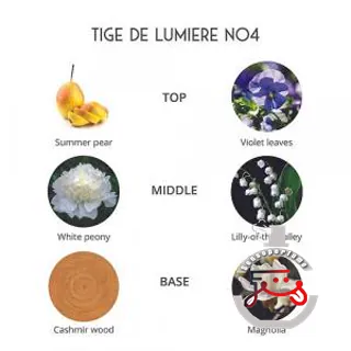 Tige De Lumiere Parfums de Folleville
