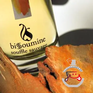 Souffle Sauvage Bissoumine