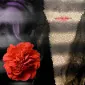 Fleurdamane