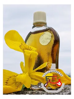 زولوتوی ایریس – گولدن آیریس، آلیه پاروسا (آلیه پاروسا) | золотой ирис - golden iris алые паруса (alye parusa)