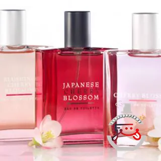 Cherry Blossom Bath & Body Works