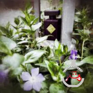 Psychedelic Love Initio Parfums Prives
