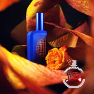 This is not a Blue Bottle 1.6 Histoires de Parfums