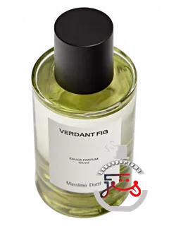 وردنت فیگ مسیمو دوتی | verdant fig massimo dutti