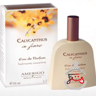Calycanthus In Fiore Amerigo