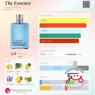 The Essence David Beckham