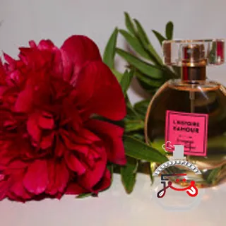 Le Voyage Romantique Brocard