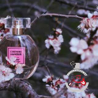 Le Voyage Romantique Brocard