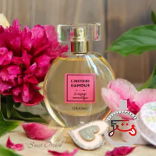 Le Voyage Romantique Brocard