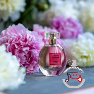 Le Voyage Romantique Brocard