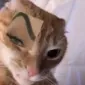 aubebe