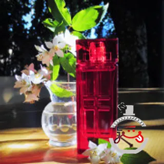 Red Door Limited Edition Elizabeth Arden