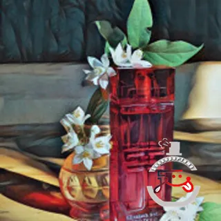 Red Door Limited Edition Elizabeth Arden