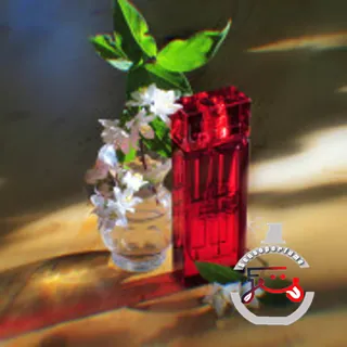 Red Door Limited Edition Elizabeth Arden