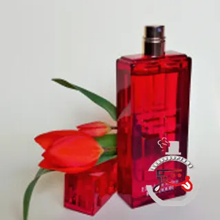 Red Door Limited Edition Elizabeth Arden