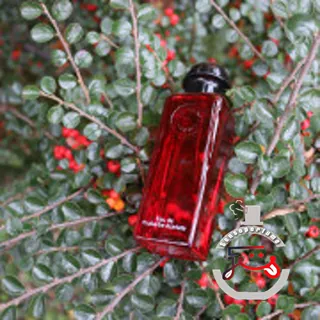 Eau de Rhubarbe Ecarlate Hermès