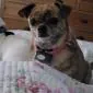 Rdhjulie@aol.com