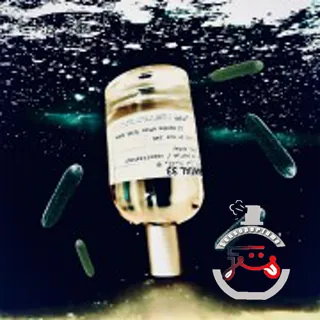 Santal 33 Le Labo