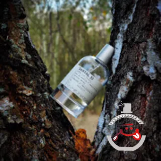 Santal 33 Le Labo