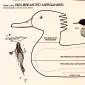 quiltedduck