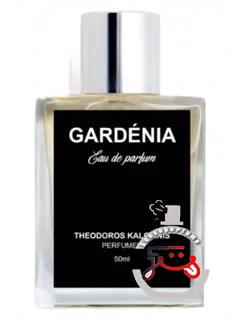 گاردنیا تئودوروس کالوتینیس | gardenia theodoros kalotinis