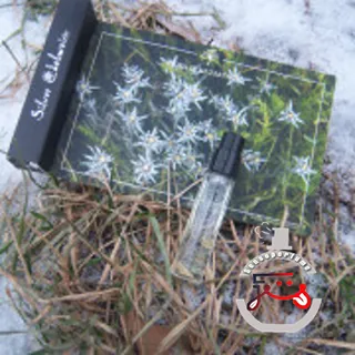 Silver Edelweiss Aura of Kazakhstan