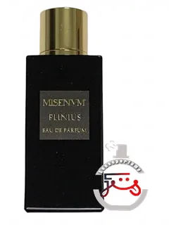 پلینیوس میسنوم | plinius misenum