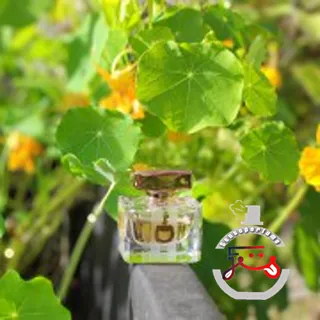 Gucci by Gucci Eau de Toilette Gucci