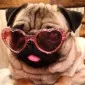 مُآیِت‌تُآ