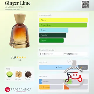 Ginger Lime Dr. Vranjes Firenze