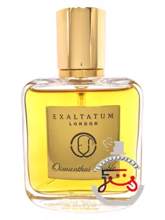 آزمانتوس نوبل اکسالتاتوم | osmanthus noble exaltatum