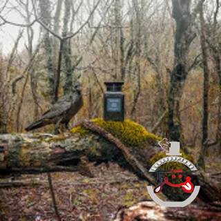 Oud Wood Tom Ford