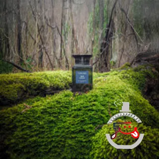 Oud Wood Tom Ford