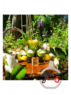 سولستیس مگنولیا سولستیس سنتس | solstice magnolia solstice scents