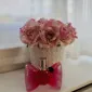 لوسیل بیست‌ونُه