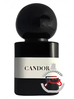 کندور چپل فکتری | candor chapel factory