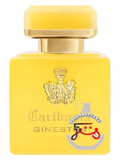 اینتنسو دی جینسترا کارتوزیا | intenso di ginestra carthusia