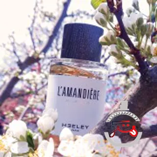 L'Amandiere James Heeley