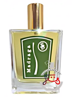 مدراگا آتلیه سگال و باروتی | madraga atelier segall & barutti