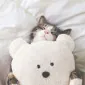 زوزکا شش نه نه نه