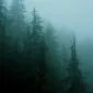 مِسِز آر